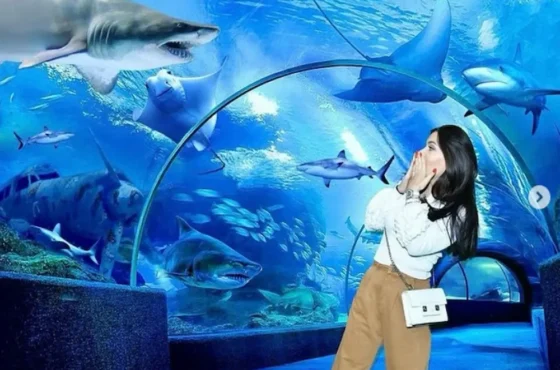 Аквариум в Анталии — Экскурсия из Кемера