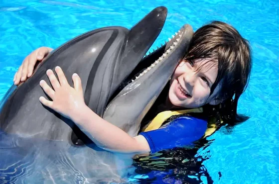 Дельфинарий — Шоу представление в Кемере
