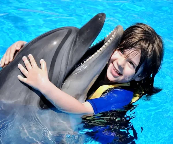 Дельфинарий — Шоу представление в Кемере