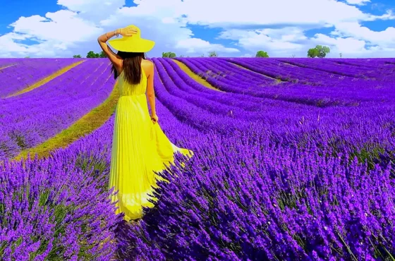 Памуккале — Лаванда Экскурсия из Кемера